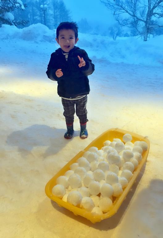 فندق Snowball Chalet At Madarao Mountain Iiyama المظهر الخارجي الصورة