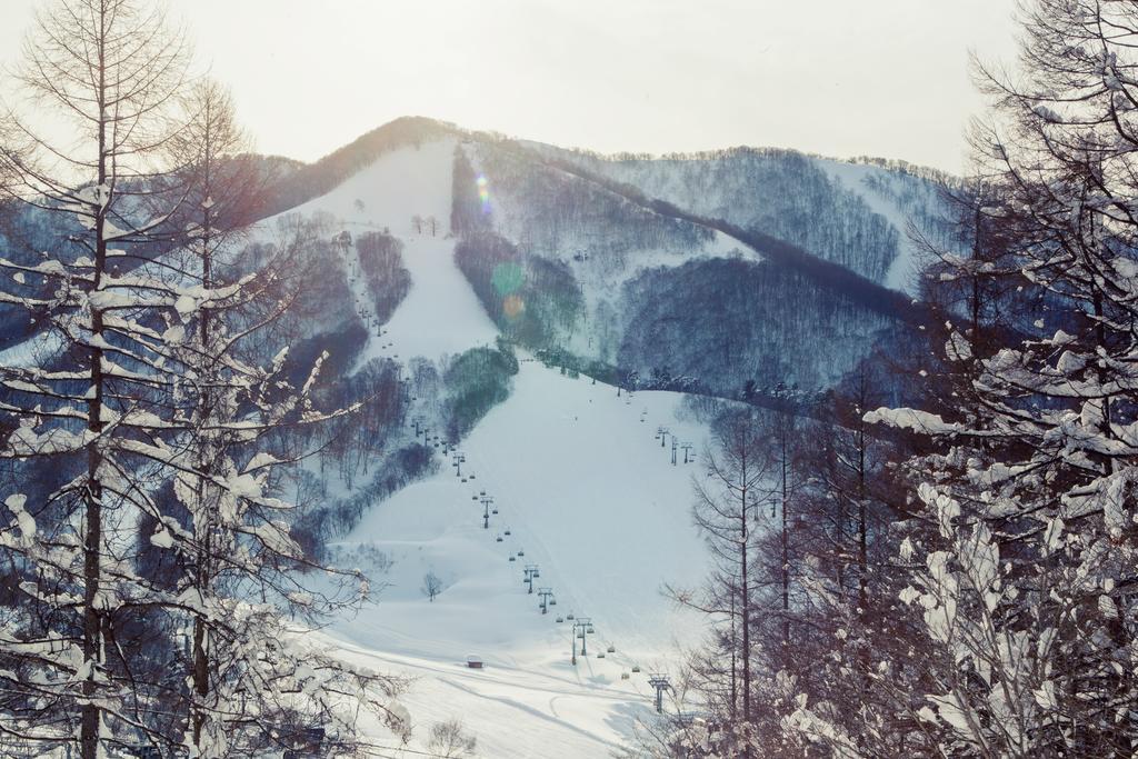 فندق Snowball Chalet At Madarao Mountain Iiyama المظهر الخارجي الصورة